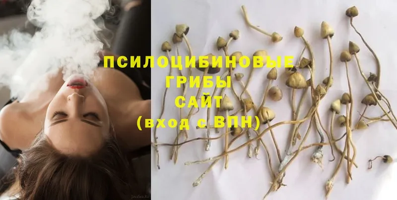 мега зеркало  Когалым  Псилоцибиновые грибы Magic Shrooms 